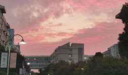 今日份吃瓜现场图片,揭秘吃瓜现场幕后真相