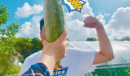 网红吃瓜今日热门吗,今日热门话题盘点