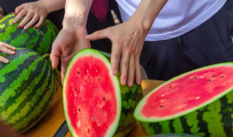 今日吃瓜免费观看,免费观看，畅享娱乐时光