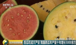 吃瓜群众今日必吃大瓜,揭秘娱乐圈最新热点事件