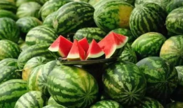 张百乔女友今日吃瓜,揭秘娱乐圈幕后故事